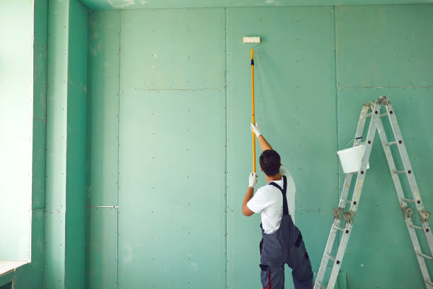 Best Mold Damage Restoration  in James City, NC