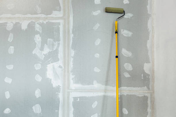 Best Post-Construction Mold Inspection  in James City, NC